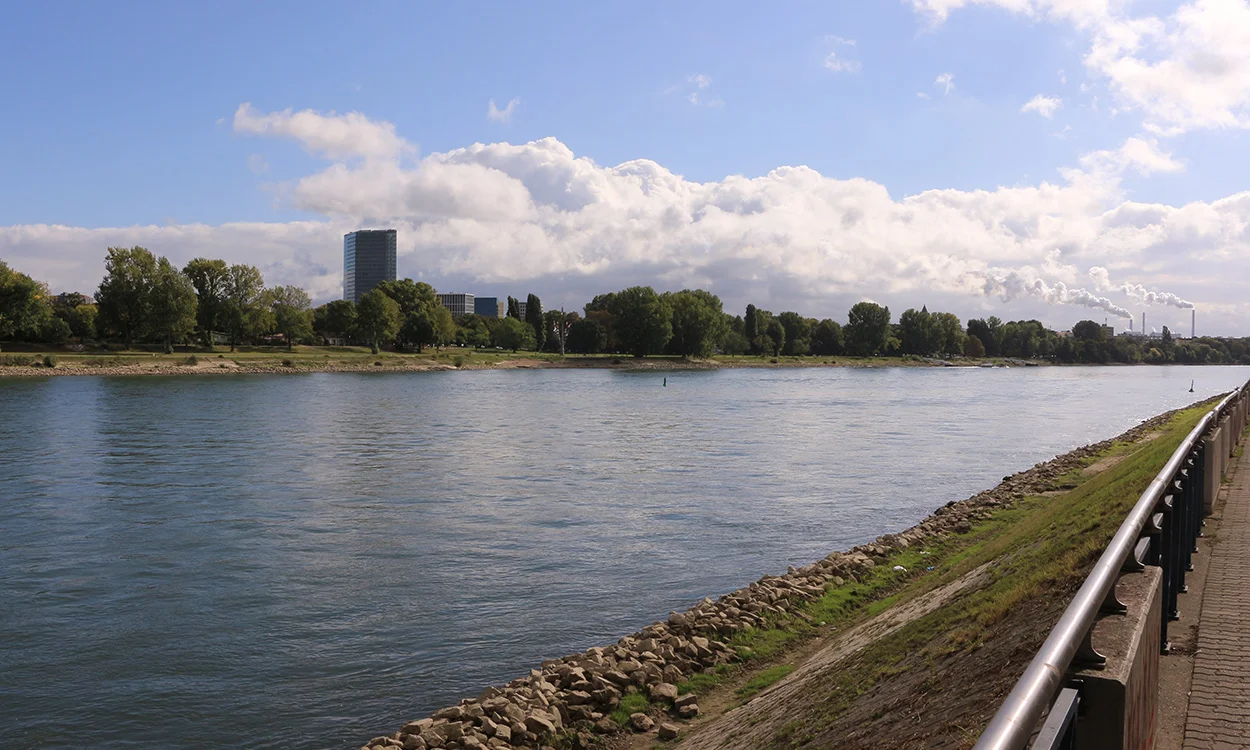 Gebäudereinigung in Ludwigshafen am Rhein
