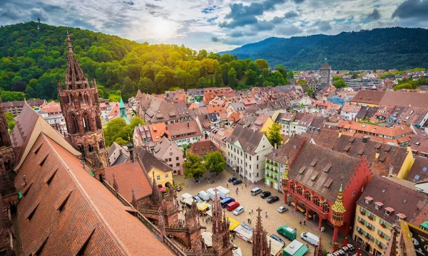 Stewarding Service / Spülküchenreinigung  Freiberg