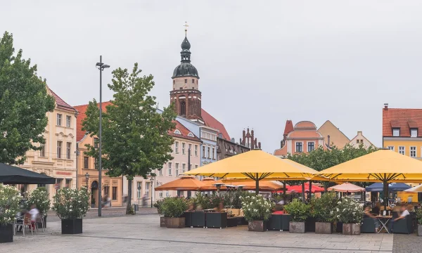 Construction Site Cleaning Cottbus
