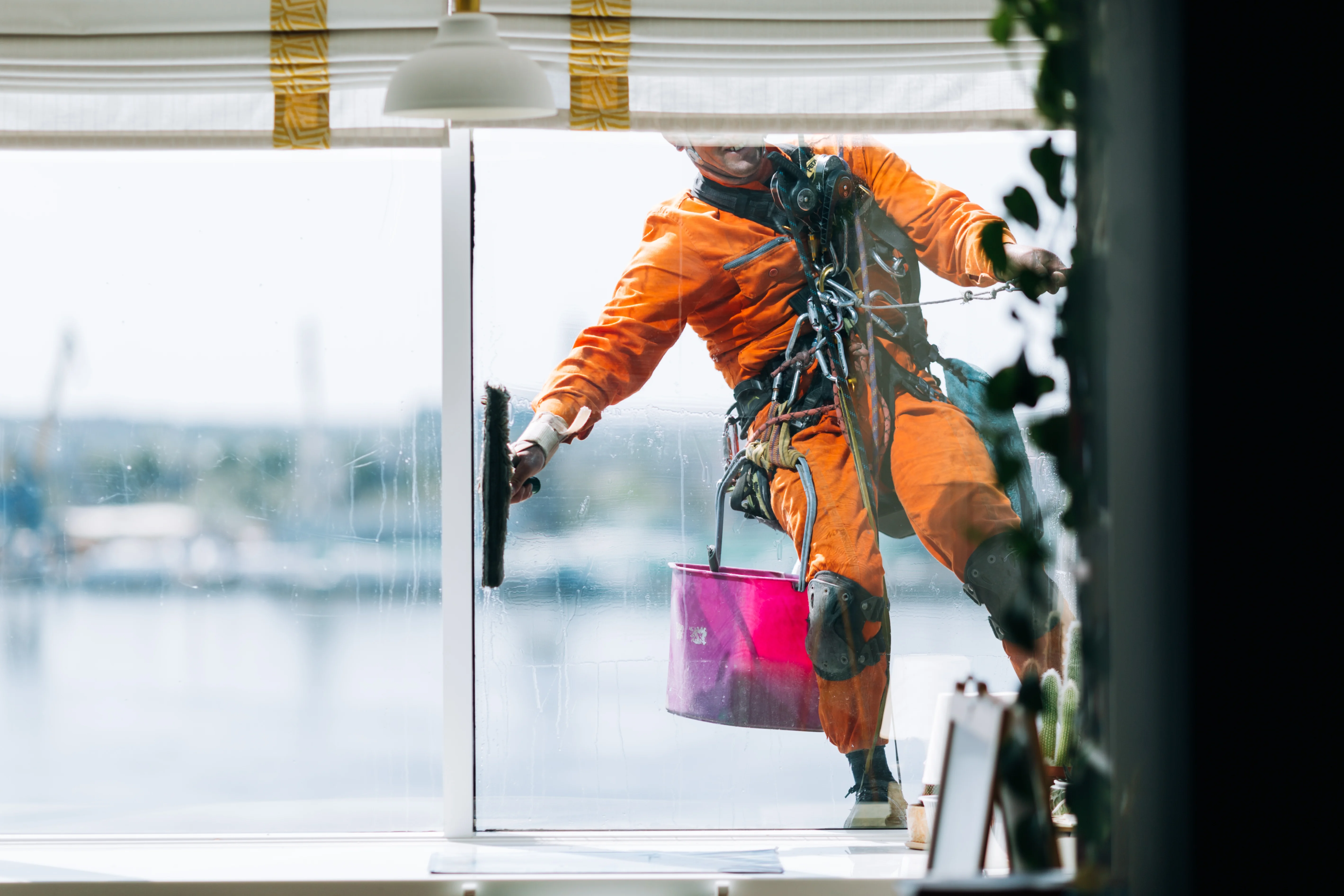Fensterreinigung